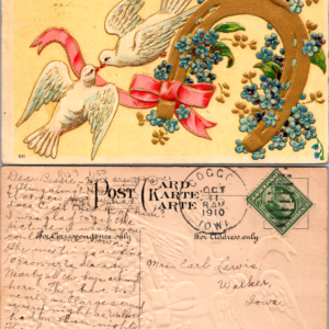 Best Wishes Embossed 201 1910 Iowa Doves Horseshoe Postcard - Image 1