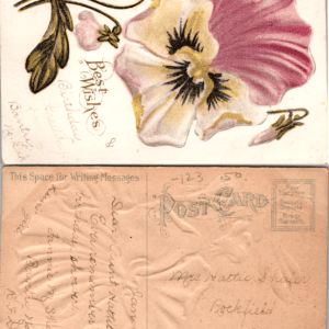 Embossed Floral Pansy Postcard Best Wishes Birthday Greeting 1910 - Image 1