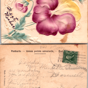 Embossed Flower Postcard Best Wishes 1909 Germany - Image 1
