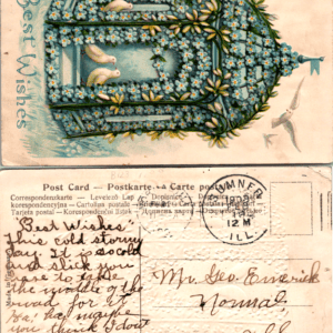 Birdcage Doves Flowers Best Wishes Postcard 181 Vintage - Image 1
