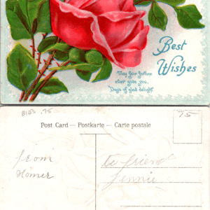 Best Wishes Rose Postcard Printed in Germany E.C.C. Serie - Image 1