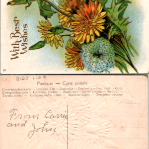 Embossed Dandelion Floral Postcard 67 With Best Wishes - Image 1