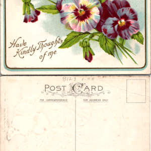 Pansies Have Kindly Thoughts of Me Postcard Embossed Divided Back - Image 1