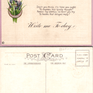 Embossed Floral Postcard Series 625 D Write me To-day Iris - Image 1