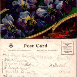 Gold Flower Series B Embossed Floral Postcard 1900s - Image 1