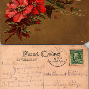 Red Rose Floral Postcard 1911 Flora Illinois Divided Back Vintage - Image 1