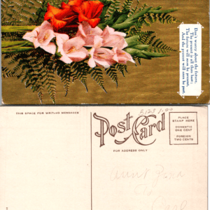 Gladiolus Bouquet Don't Worry About the Future Series No. 68 Postcard Vintage - Image 1