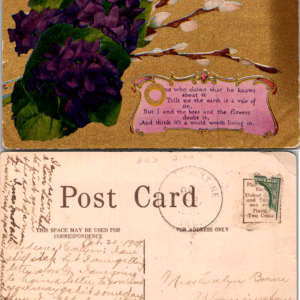 1909 Bloomington Violets Poem Embossed Postcard Vintage - Image 1