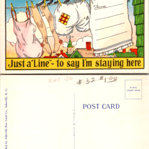 Asheville Post Card Co C-216 Just a 'Line' To Say I'm Staying Here - Image 1