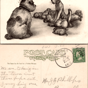 I. Phillips Oh! you stork! 6613 comic dogs 1911 postcard - Image 1