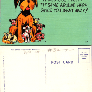 Asheville Post Card Co. Doggonit comic linen postcard 274 PAT Colourpicture - Image 1