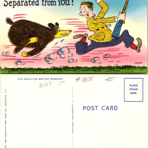 Asheville Post Card Co. Can't Bear to be Separated from You k21043 - Image 1