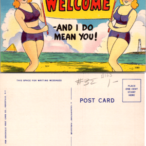 Asheville Post Card Co. 1080 Welcome Comic Linen Postcard - Image 1