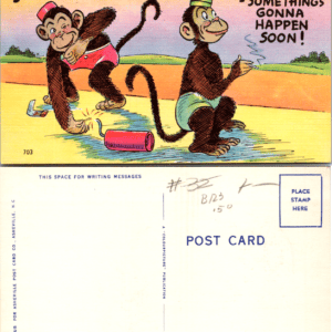 Asheville Post Card Co Stop Me If You've Heard This Before 703 - Image 1