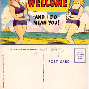 Welcome And I Do Mean You Asheville Post Card Co 1080 - Image 1