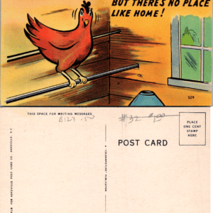 Asheville Post Card Co. Chicken 529 Linen Comic Postcard Unused - Image 1