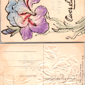 G.A. Novelty Art Series No. 1824 Best Wishes Embossed Floral Postcard - Image 1