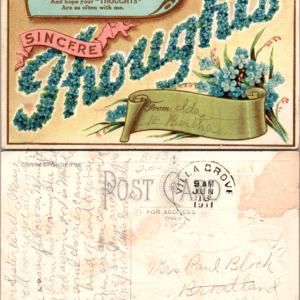 Edwardian Embossed Floral Sincere Thoughts Postcard 1911 - Image 1