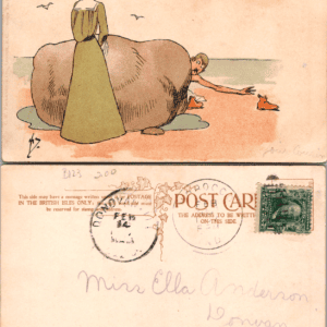 C.W. Faulkner & Co. No. 2924 H.Z. Edwardian Comic Postcard - Image 1
