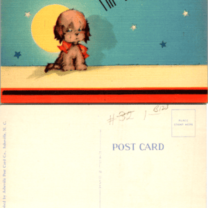 Asheville Post Card Co I'm Lonesome! Puppy Dog Postcard C-224 1940s - Image 1