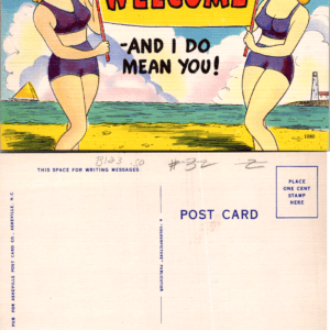 Asheville Post Card Co. WELCOME - AND I DO MEAN YOU! 1080 Vintage - Image 1