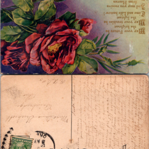 May Your Future Be The Brightest Embossed Postcard 1910 Red Roses - Image 1