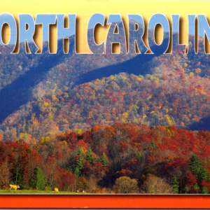 North Carolina Pisgah National Forest Crabtree Bald Postcard - Image 1