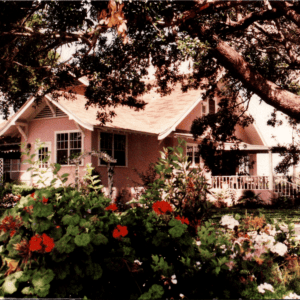 Lavender & Lace Tea Room Restaurant Lake Alfred Florida Postcard 1995 - Image 1