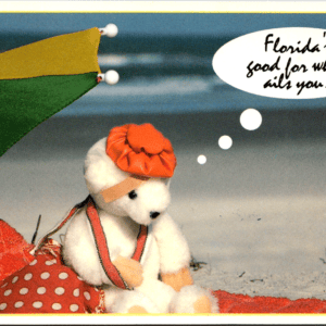 H.S. Crocker Co. Florida's good for what ails you HSC 540-DT Postcard - Image 1