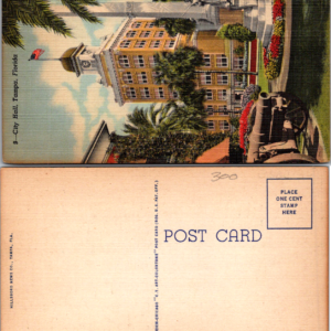City Hall Tampa Florida Vintage Multicolor Postcard - Image 1