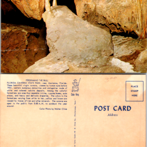 Color King Florida Caverns State Park Ferdinand the Bull Postcard Multicolor - Image 1