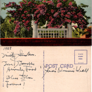 Curt Teich Tropical Florida Series Purple Bougainvillea Postcard 1958 Vintage - Image 1