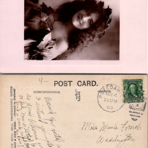 Davidson Bros Real Photographic Series 1909 Joy Postcard Multicolor - Image 1