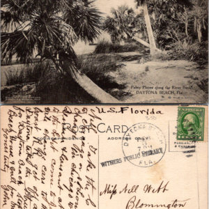Daytona Beach Florida Vintage Postcard 1914 1 Cent Stamp Palm Trees - Image 1