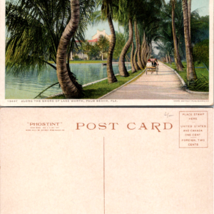 Detroit Publishing Co Phostint Palm Beach Florida Lake Worth Postcard - Image 1