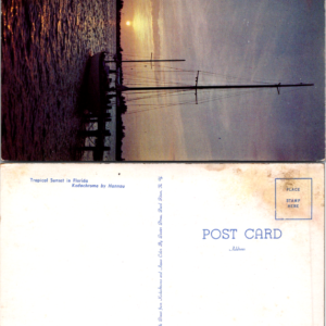 Dextone Tropical Sunset Florida Kodachrome Postcard Vintage - Image 1