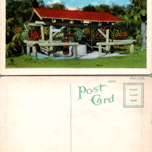Dixie Well Jungle St. Petersburg Florida Postcard E. C. Kropp Co. Multicolor - Image 1