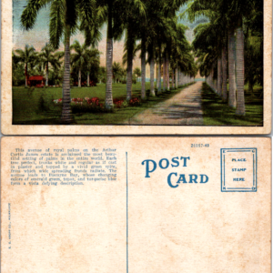 E. C. Kropp Co. Vintage Royal Palm Avenue James Estate Coconut Grove Florida Postcard - Image 1