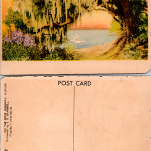 E.G. Barnhill Florida Flower Series Dixie Highway Florida Postcard - Image 1
