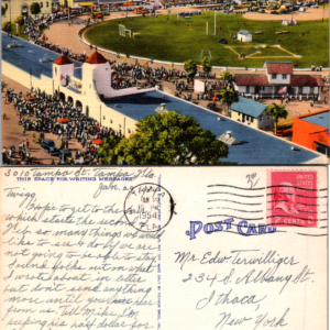 Florida Fair Grounds Tampa Florida Postcard 1954 Multicolor Vintage - Image 1