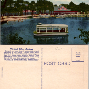 Florida's Silver Springs Multicolor Scenic Postcard - Image 1