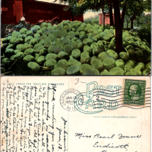Florida Watermelons Postcard 1911 Vintage Handwritten Address - Image 1