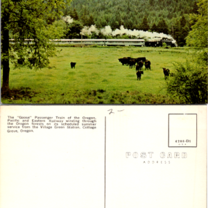 Goose Passenger Train Postcard Oregon Pacific and Eastern Railway Cottage Grove Oregon Vintage - Image 1