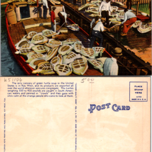 Key West Florida Turtle Boat Postcard Arrival Unloading Multicolor - Image 1