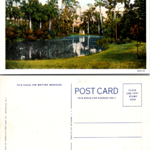 Lake Wales FL Mountain Lake Sanctuary Palm Gardens Vintage Florida Postcard - Image 1