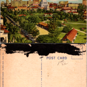 Lummus Park Downtown Miami Florida 1924 Multicolor Postcard - Image 1