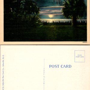 Moonlight on St. Andrews Bay Panama City Florida Postcard Multicolor - Image 1