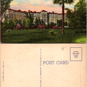 Municipal Hospital Davis Islands Tampa Florida Postcard Multicolor - Image 1