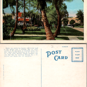 Old Postcard Vintage Palm Beach Florida Sunset Avenue Garden Scene - Image 1