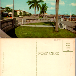 Palm Bordered Bayshore Drive Postcard Davis Islands Tampa Florida Vintage - Image 1